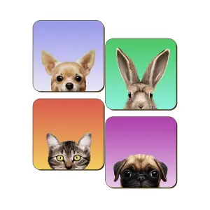 Inquisitive Creatures Pets Coaster Set (Pack of 4) Multicoloured (One Size)