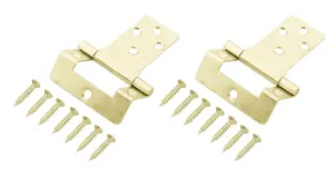 Brass-plated Metal Flush Door hinge N162 (L)50mm, Pack of 2