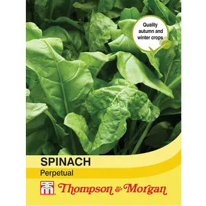 Spinach Perpetual (Spinach Beet) 1 Seed Packet