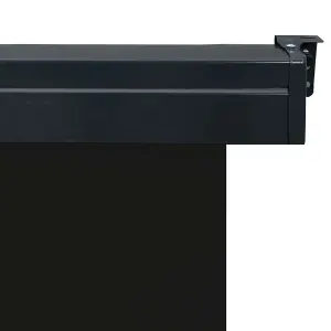 Berkfield Balcony Side Awning 100x250 cm Black