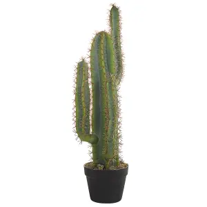 Beliani Artificial Plant CACTUS Green