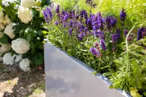 Primrose Garden Zinc Tall Trough Planter with Insert Silver 80cm