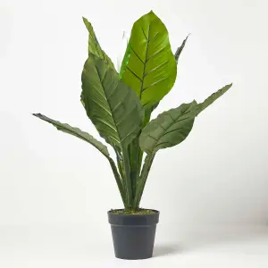 Homescapes White Peace Lily in Pot, 90 cm Tall