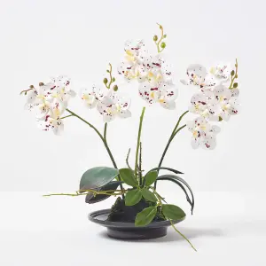 Homescapes White Orchid 38 cm Phalaenopsis in Ceramic Pot