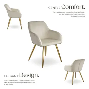 Chair Marilyn - with armrests, padded, velvet look, golden steel legs - cream/gold