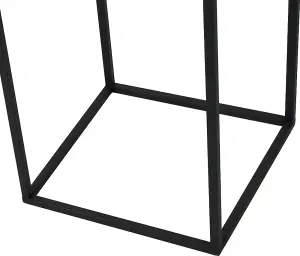 Set of 2 Indoor Square Black Metal Planters