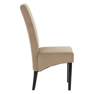 Interiors by Premier Medan Mink Cotton Velvet Dining Chair