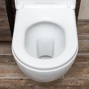 Isaac Back to Wall Toilet with Soft Closing Seat