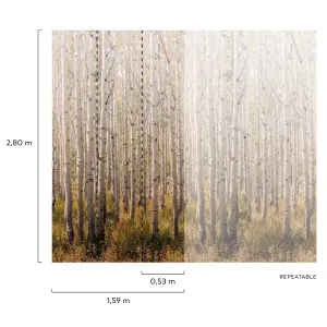 Grandeco Birch 3 lane repeatable Textured Mural, 2.8 x 1.59m