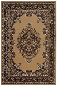 Maestro Collection Traditional Design Rug in Brown  4470 B55