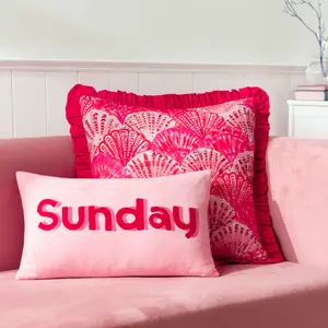 furn. Sunday Embroidered Feather Rich Cushion