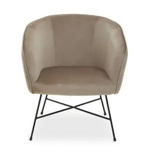 Interiors by Premier Mink Velvet Chair, Comfy Mink Outdoor Metal Legs Velvet Chair, Effortless Cleaning Velvet Chair