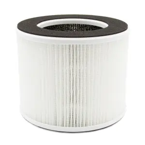 Spear & Jackson 42162 Carbon & HEPA Air purifier filter