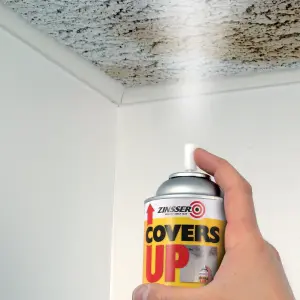 Zinsser Covers up White Matt Ceiling Sealer Spray paint, 400ml