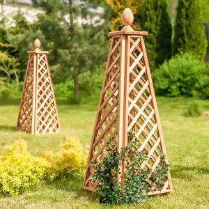 Primrose Wooden Garden Obelisk for Garden Climbers Climbing Plants 64cm x 180cm