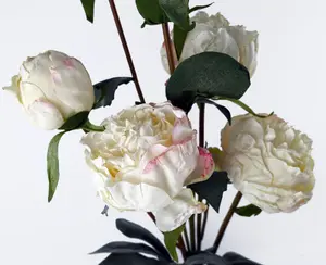 6 x 55cm Cream Peony Artificial Flower