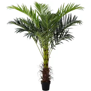 180cm H Garden Decoration Artificial Green Palm Tree with Plastic Flowerpot