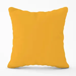 Cantaloupe Orange Outdoor Cushion 45cm x 45cm