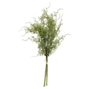 UK Homeliving Asparagus Fern Bunch