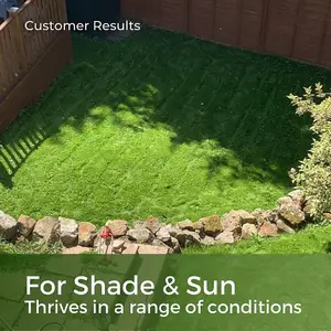 Shade & Sun Grass Seed - Lawn Seed for Shaded Areas 10kg (140-400m²)