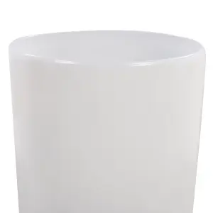 Set of 2 Plant Pots 32 cm White TSERIA