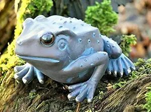 2pc Frog Garden Ornaments Set Bronze Effect