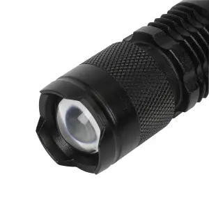 Diall Black 70lm LED Battery-powered Torch