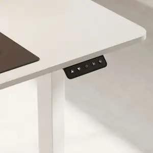 FlexiSpot Adjustable Standing Desk in Black with Practical Hook, Cable Management, and Sit-Stand Function for Home Office