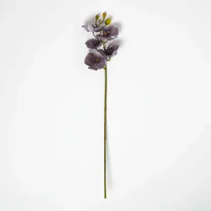 Homescapes Artificial Stem of Grey Orchid Flower, 68 cm