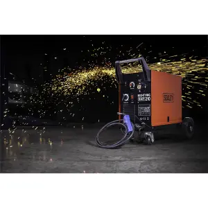 Professional Gas/Gasless MIG Welder with Euro Torch 210A