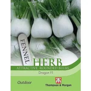 Herb Fennel Dragon F1 Hybrid 1 Seed Packet