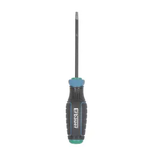 Erbauer Standard Security TX Screwdriver TX25 x 100mm