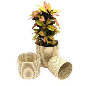 Indoor Planter Basket Natural Navy Seagrass Set of Three 25cm, 20cm & 17cm Diameter Garden Gear