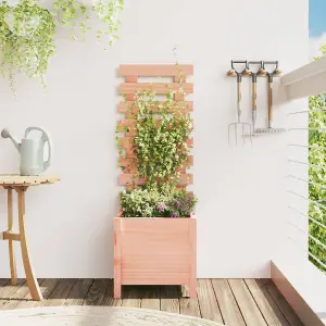 Berkfield Garden Planter with Rack 39x39.5x114 cm Solid Wood Douglas