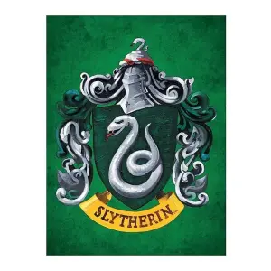 Harry Potter Slytherin Canvas Print Green (60cm x 80cm)