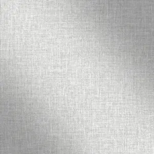 Sample of Raze Metallic Wallpaper In Silver