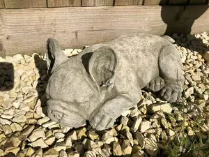 French Bulldog Stone Statue Outdoor Garden Ornament Puppy Dog British Made Sculpture