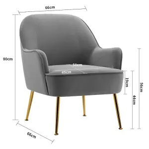 Grey Velvet Upholstered Armchair with Gold-Plated Feet for Living Room 80cm H