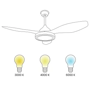 Ceiling Fan with Light Brown MUDDY