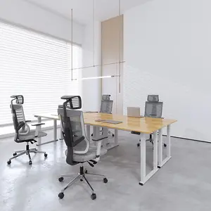 FlexiSpot Electrically Height-adjustable Desk 100kg Load Capacity in  White with 160x70cm White Desktop