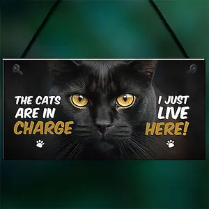 Red Ocean Funny Joke The Cats Are In Charge Cat Gifts For Cat Lovers Hanging Wall Sign Pet Gifts Pet Signs