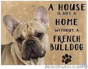 20cm metal French Bulldog 'A House is not a Home' hanging sign