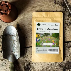 Dwarf Meadow 100% Wildflower Seeds Low Growing Perennial Seed 1kg