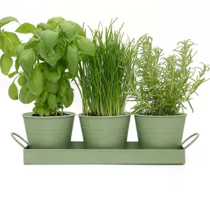 Set of 3 - Indoor Metal Plant Pots and Stand Tray - SAGE GREEN