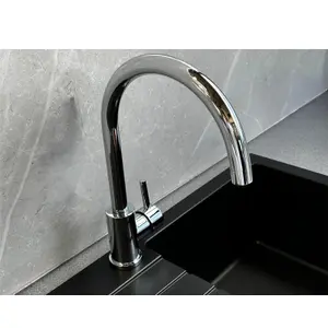 Liquida W06CH Swan Neck Monobloc Single Lever Chrome Kitchen Mixer Tap