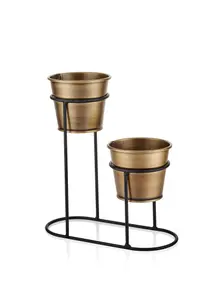 Rozi 2in1 Gold Succulent Plant Pot