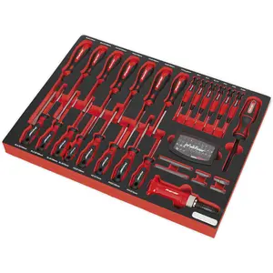 Premium 72-Piece Screwdriver Set with Tool Tray - Slotted & Philips