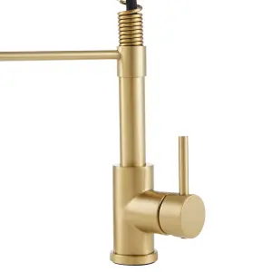 Stainless Steel and Brass Lever Faucet Commercial Swivel Pull Down Kitchen Faucet in Gold