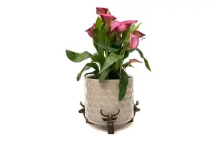 Stag Plant Pot Feet - Set of 3 - L4.5 x W5.5 x H7.5 cm