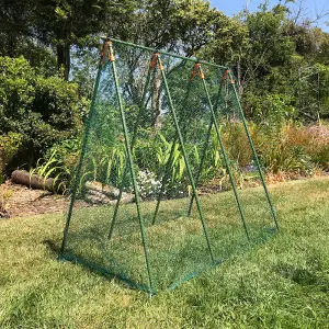 GardenSkill Pea Master Heavy Duty Pea Frame & Climbing Plant Support Grow House 0.75x1.2m H